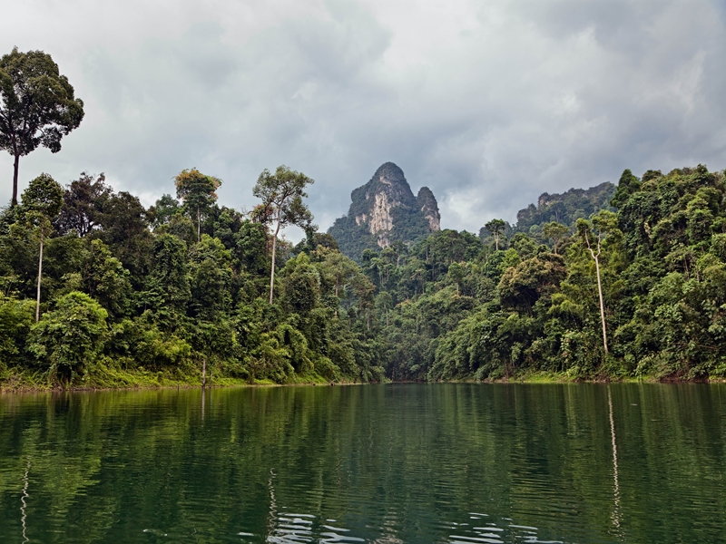 Overnight Tree House Safari (from Khao Lak)