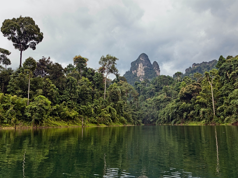 Southern Thailand Nature Wildlife