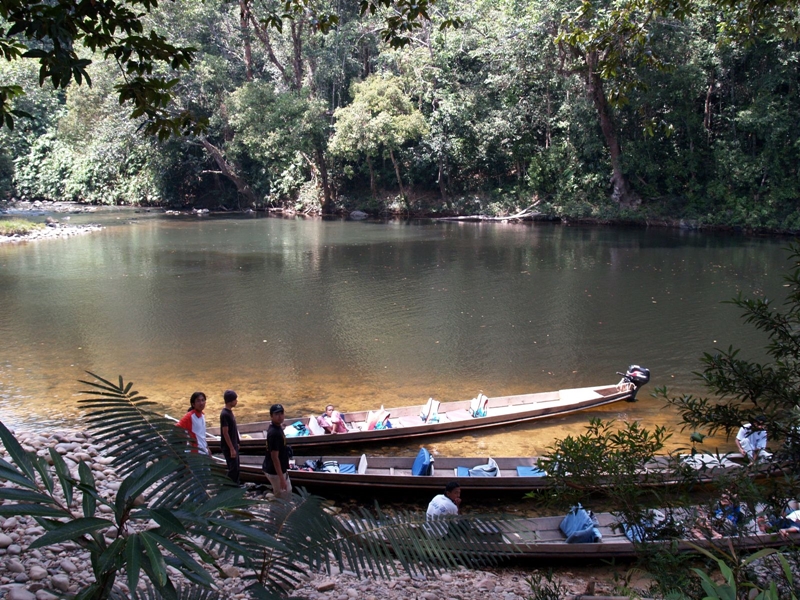 Taman Negara Rainforest Explorer
