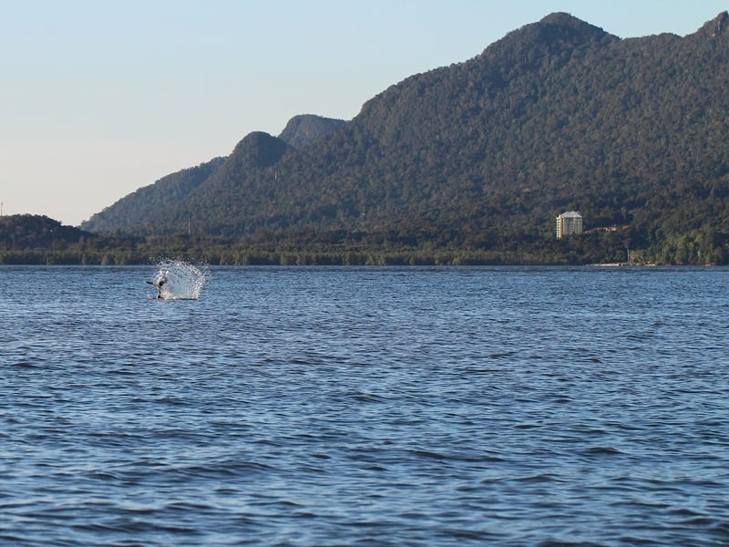 Heritage and Wildlife of Kuching