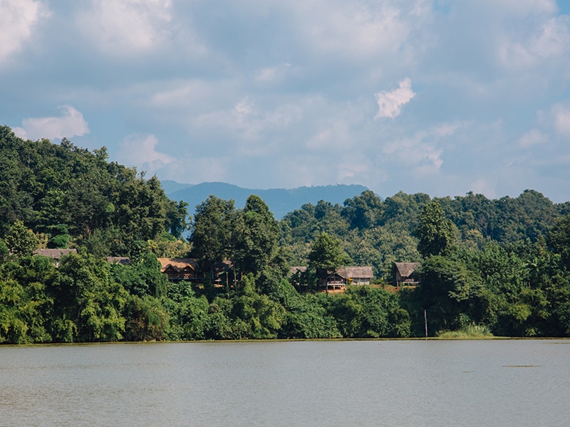 Elephant Conservation Discovery