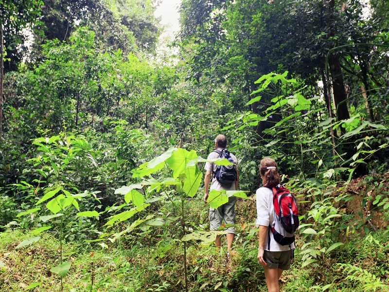 Trekking the NEPL Cloud Forest Challenge