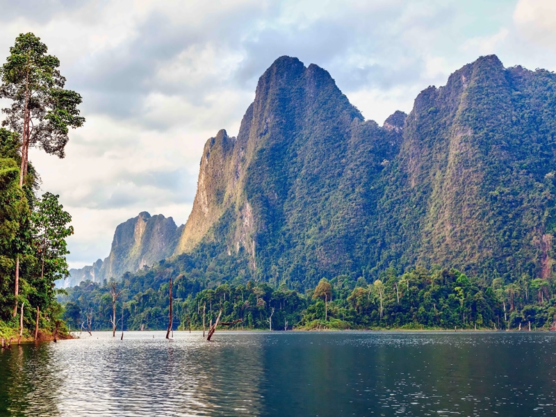 Khao Sok Lake and Safari Experience