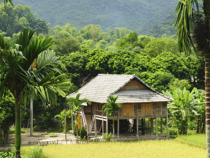Puluong – Ninh Binh – Halong