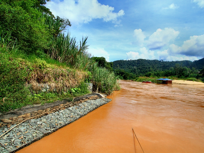 Taman Negara Rainforest Explorer