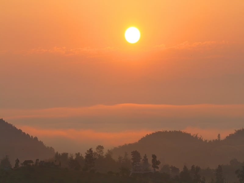 Southern Thailand Nature Wildlife