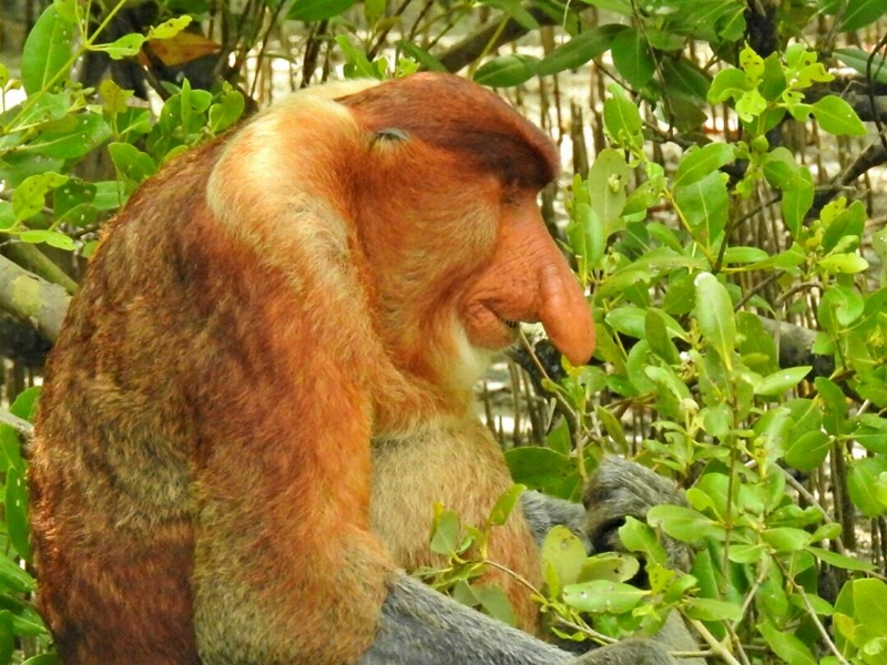 Highlights Of Kuching