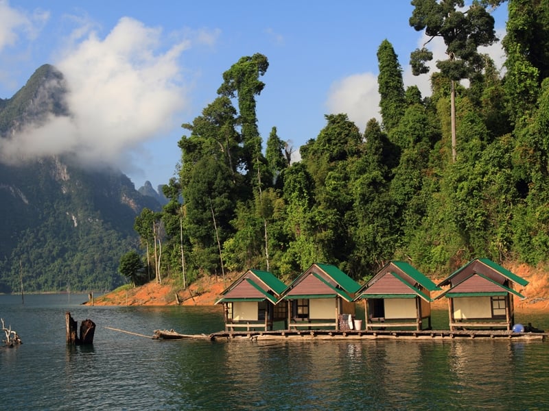 Overnight Tree House Safari (from Khao Lak)