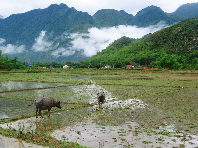 Hanoi & Mai Chau: Luxury Escape