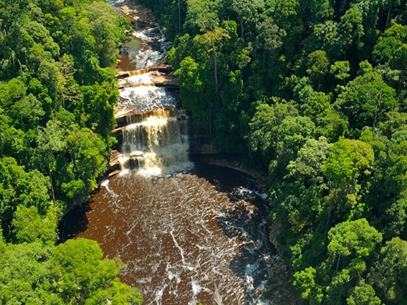 World Heritage Sites of Borneo, Mulu and Kinabalu National Parks