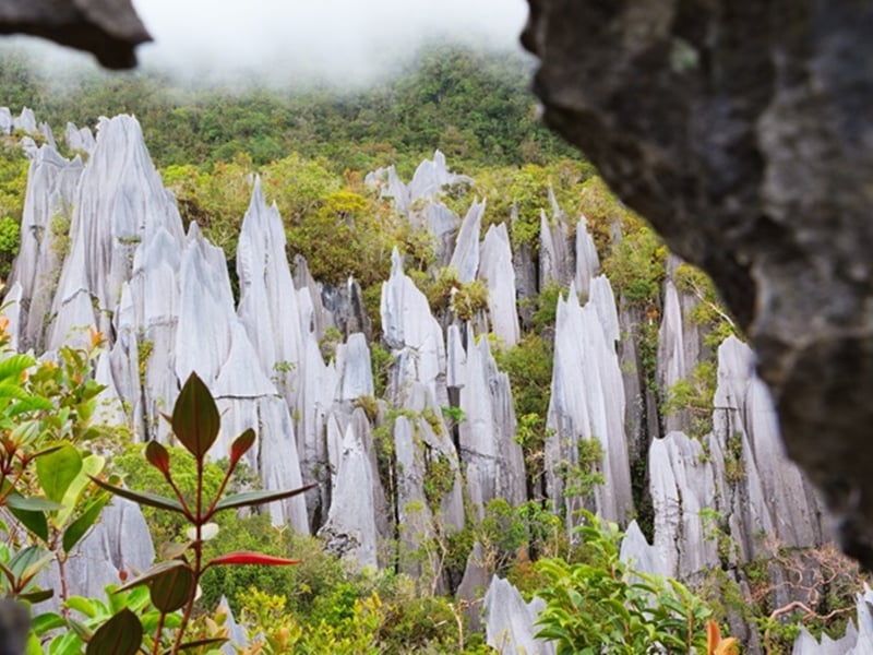 World Heritage Sites of Borneo, Mulu and Kinabalu National Parks