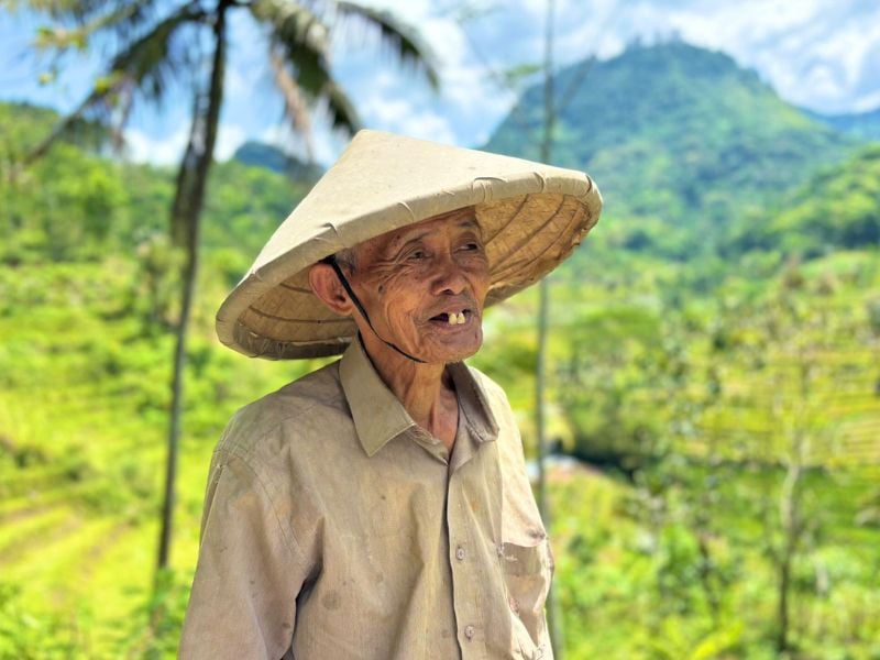 Venturing Java by Train