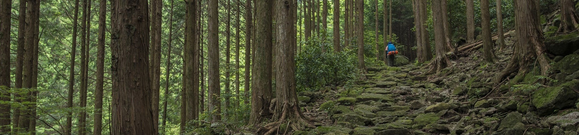 Image of Kumano Kodo and Ama Divers