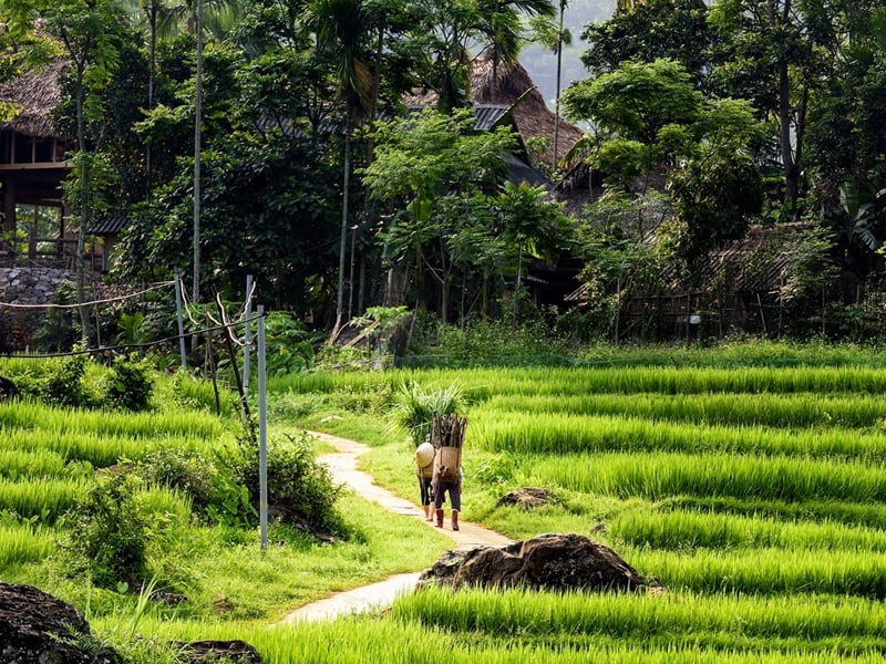 Travel for Good: Immersive North Vietnam - 8D7N
