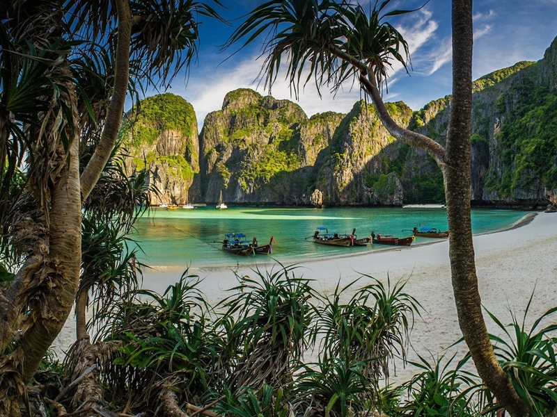 Lake & Jungle Family Encounter