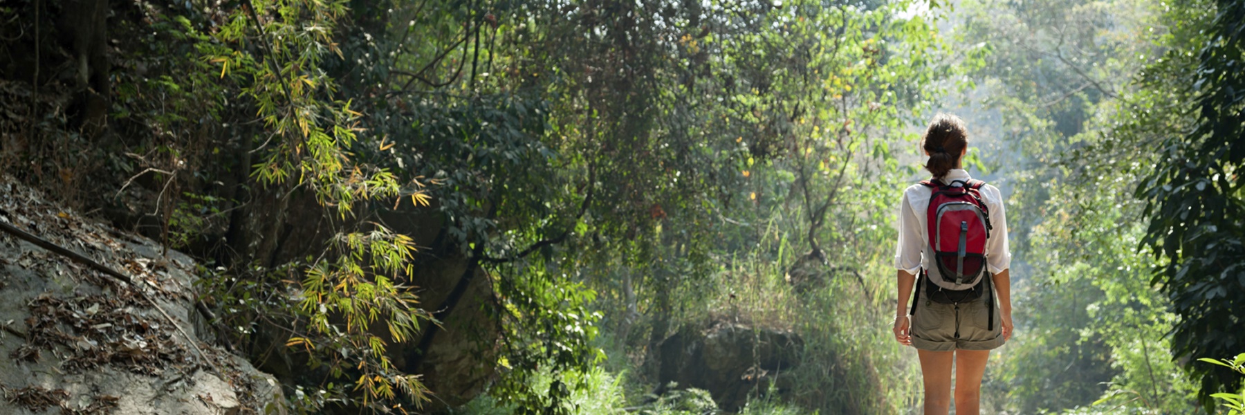 Into the Wild North Thailand Adventure