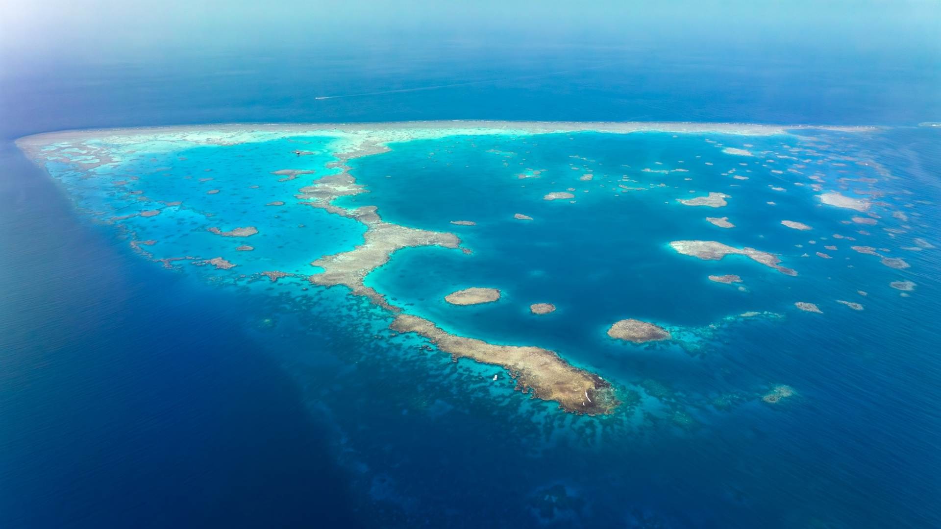 Image of Climate Action