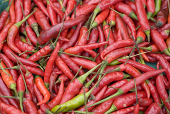 tha-chilies tha-chilies