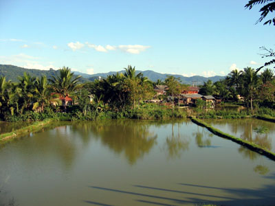 lao-luang-namtha-pond