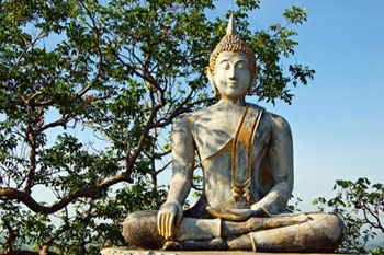 th-buddha-statue