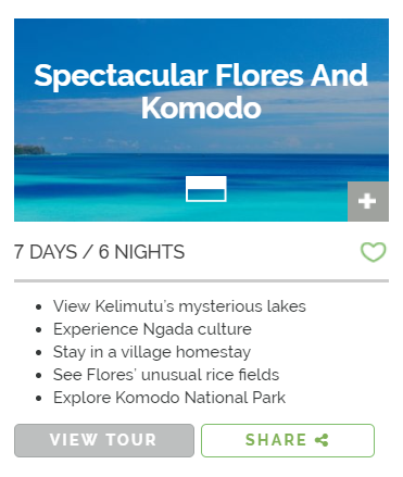 Spectacular Flores and Komodo
