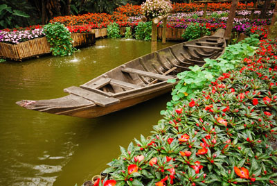 th-doi-tung-royal-garden