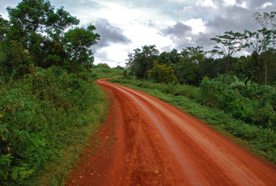 LAO- Red earth dirt road leading to Bolaven Plateau