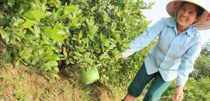 EXO Foundation Supports NEXUS Carbon Offset Program