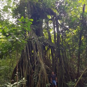 WhatsApp Image 2019-12-08 at 09.47.24