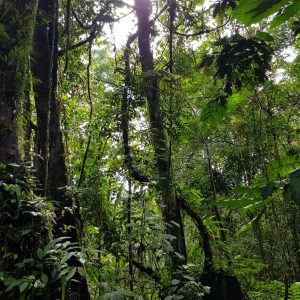 WhatsApp Image 2019-12-09 at 07.09.11 (12)