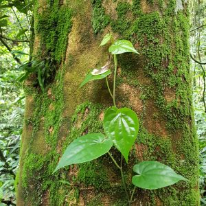 WhatsApp Image 2019-12-09 at 07.09.11 (15)