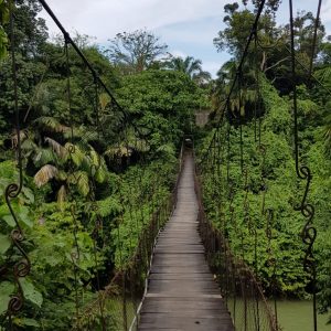 Bridge over the river to Tangkahan