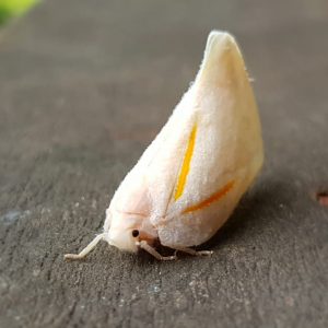 WhatsApp Image 2019-12-17 at 14.44.54 (3)