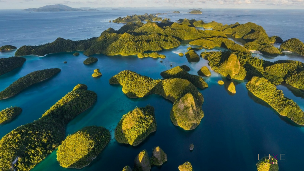 Raja Ampat Cruises