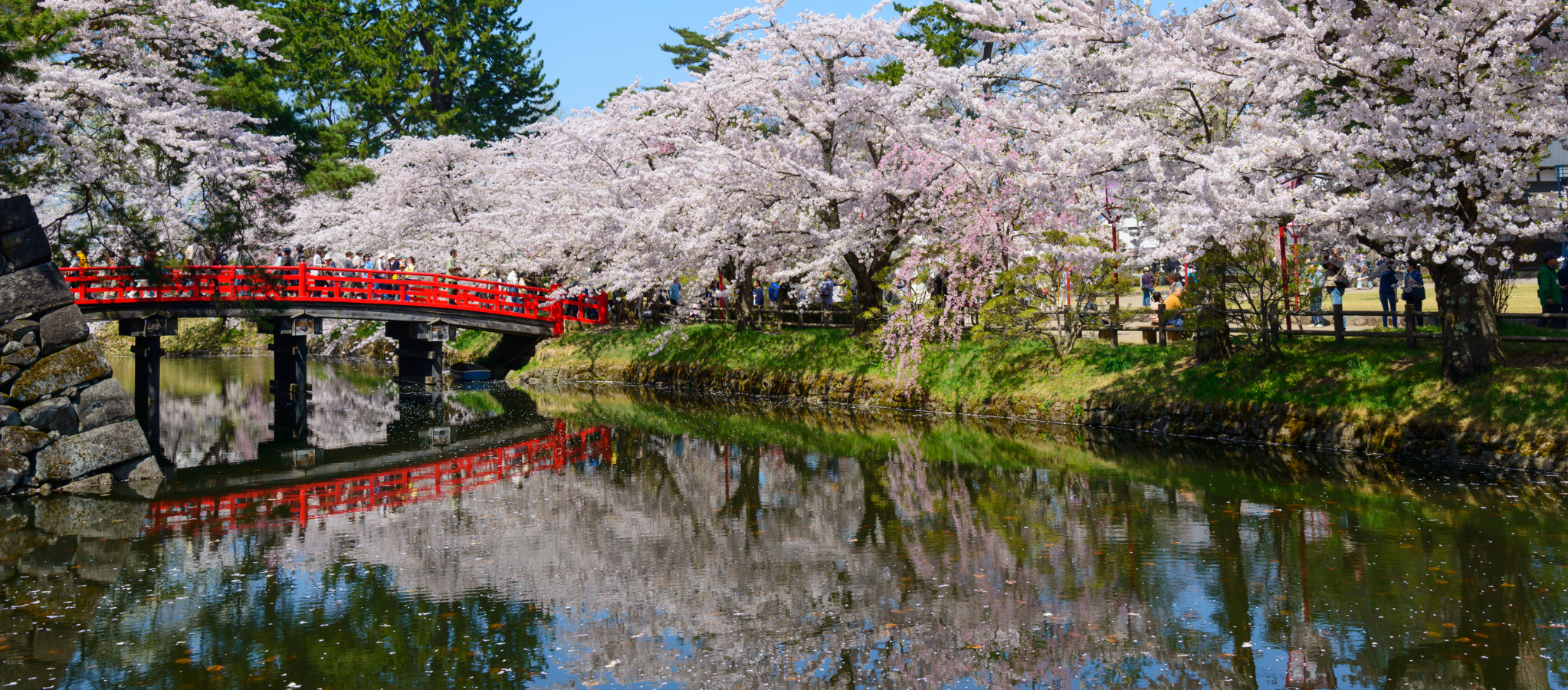 24-MAR-Blog-headers-1-1.png
