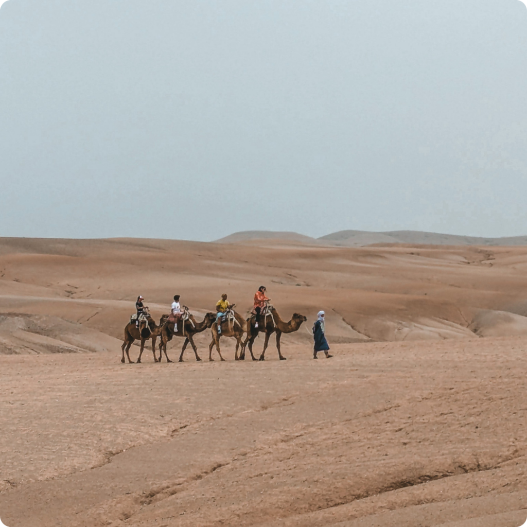 Camel caravan led by a local guide across Morocco’s Agafay Desert, offering travellers a serene, off-the-beaten-path experience just outside Marrakech — ideal for travel advisors seeking unique, culture-rich journeys for their clients.