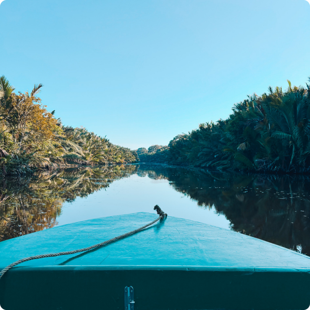 Boat ride through mangrove forest in Sabah, Malaysian Borneo, showcasing calm river waters and lush tropical greenery under a clear blue sky — ideal for nature and wildlife tours in East Malaysia.