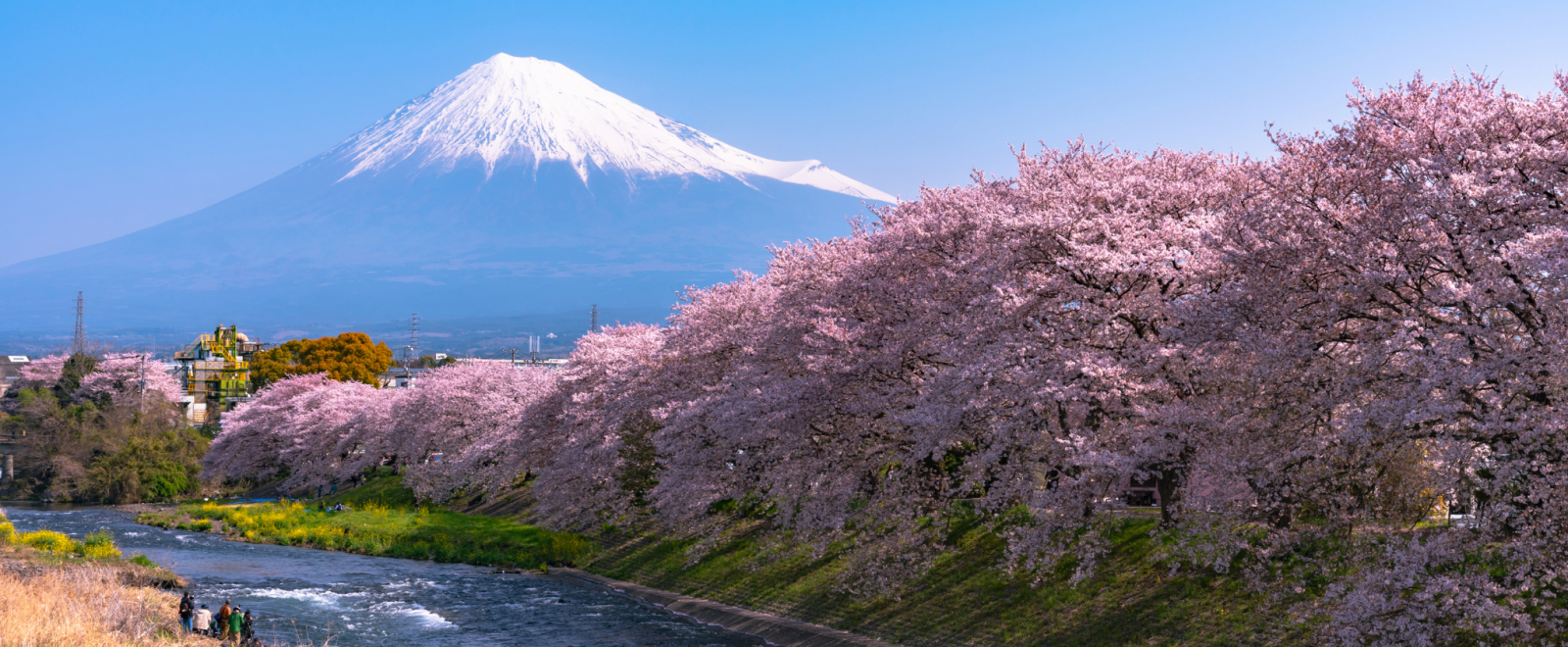 Mount Fuji header
