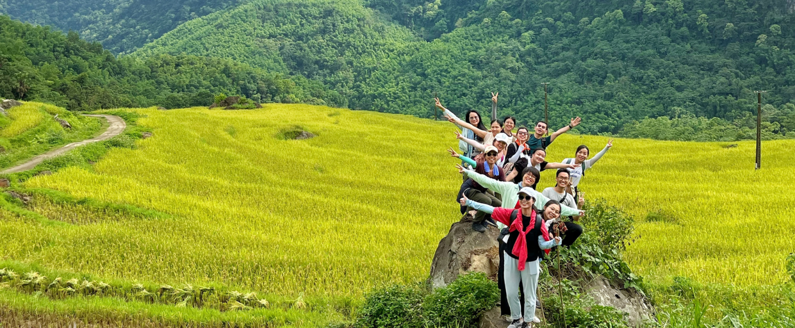 VN Inspection banner