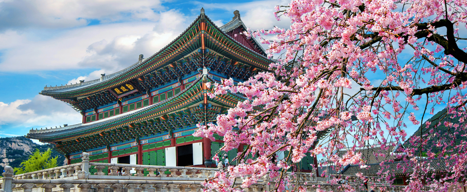 perfect header blogbanner