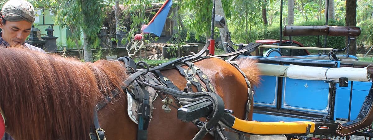 Candirejo Village Life experience day trip - EXO Travel