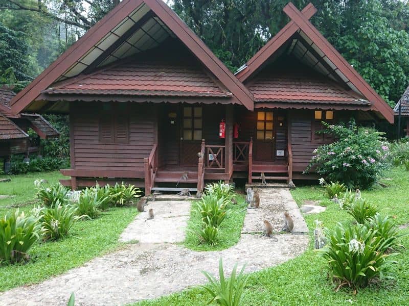 Mutiara Taman Negara Resort - hotel in Jerantut, Malaysia - EXO Travel