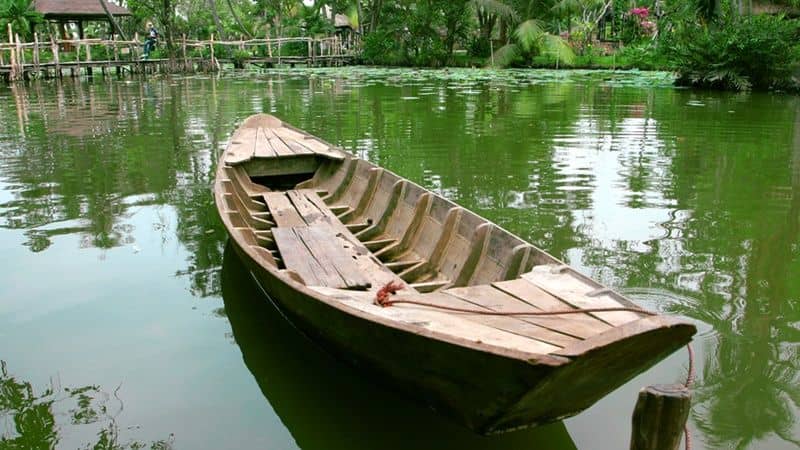 Mekong Overnight Active Escape To Unicorn Island Tour Exo Travel