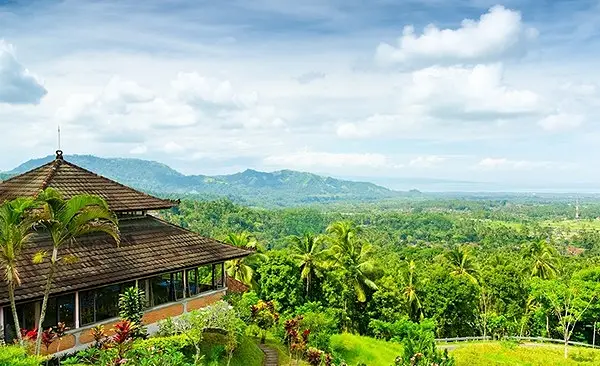 Image of 