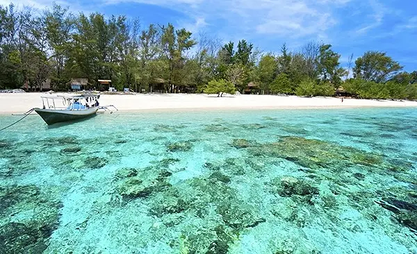 Image of 