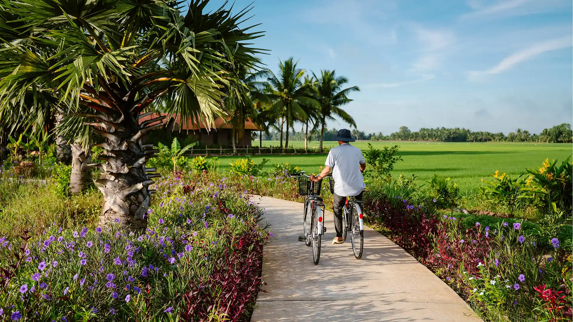Image of Vietnam Product & Destination Update