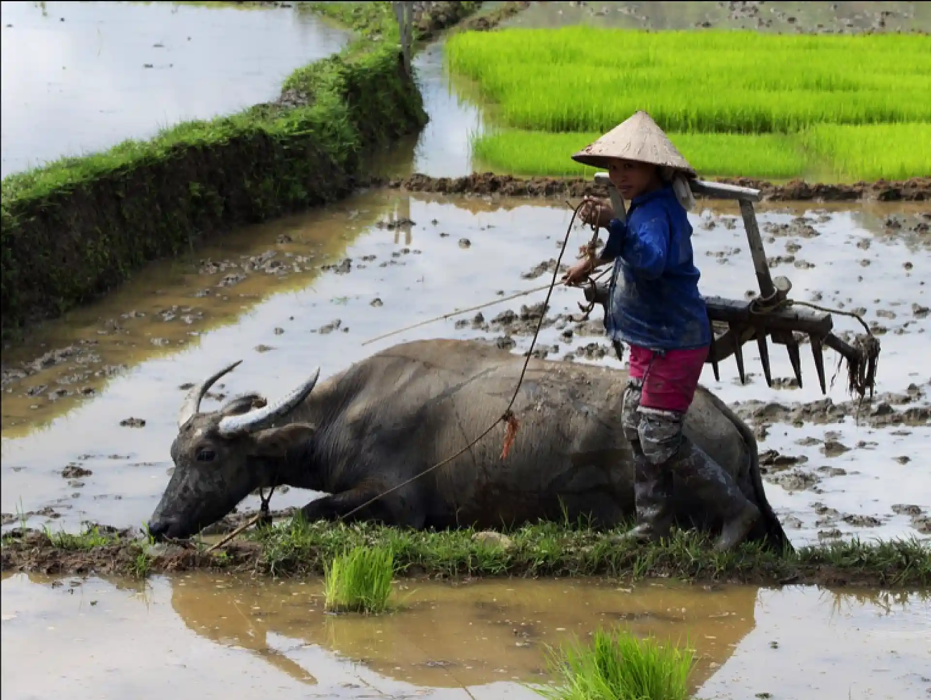 Image of Impactful MICE Activities with EXO Events