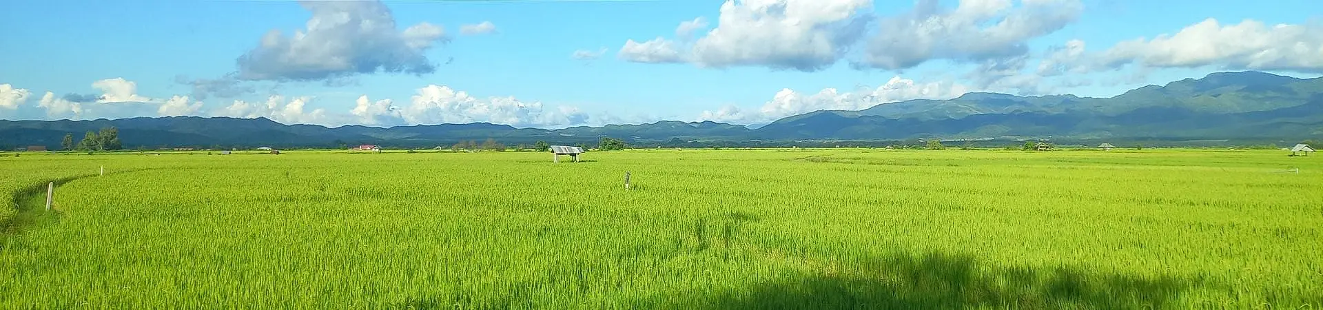 Image of 