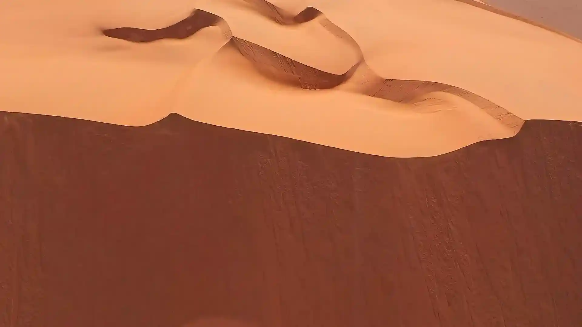 saudi-arabia travel destination by EXO Travel