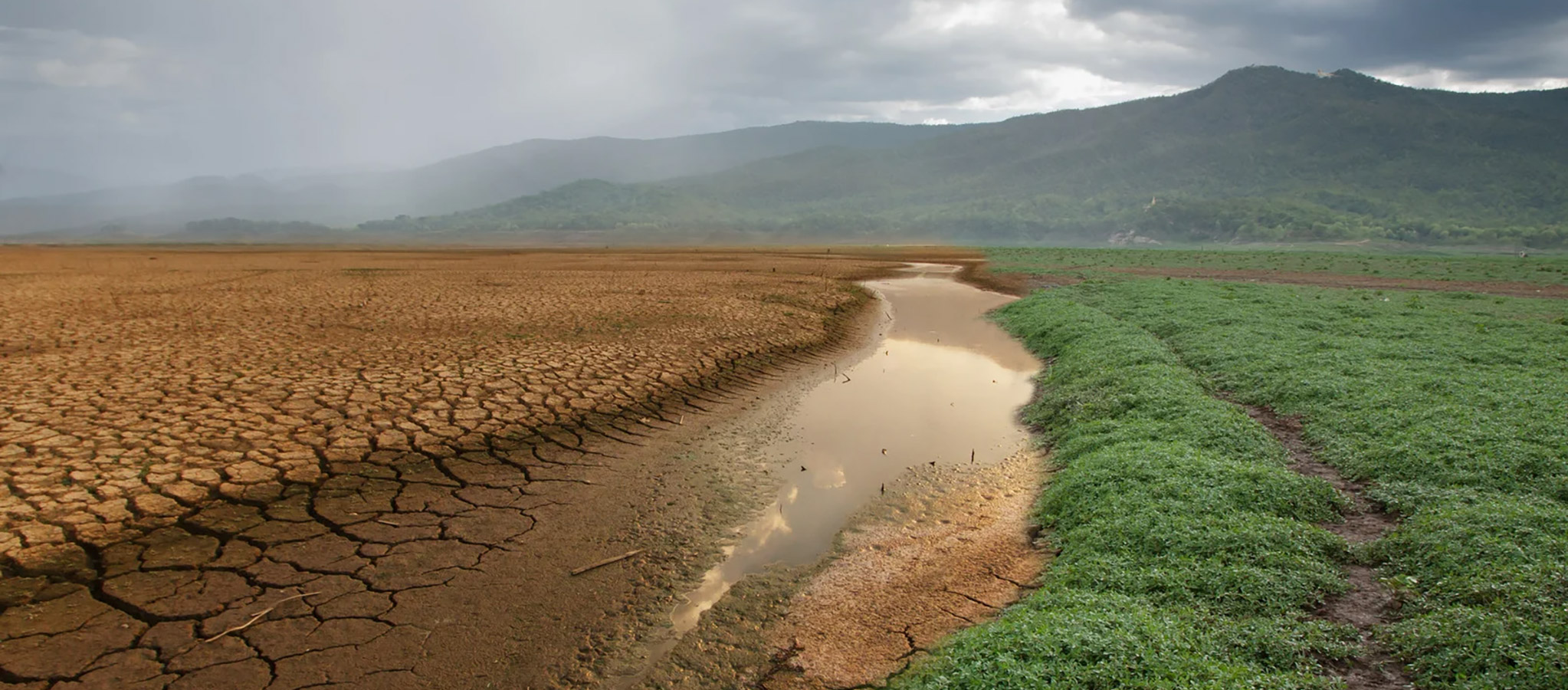 Image of Justice Equity Diversity